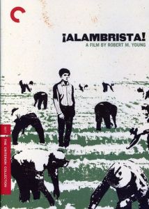 Alambrista! (1977) Criterion Collection DVD