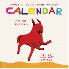 2025 David Shrigley Wall Calendar