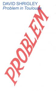 David Shrigley - Problem In Toulouse 