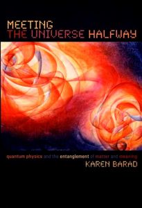 Meeting the Universe Halfway: Quantum Physics and the Entanglement of Matter and Meaning