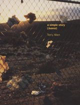 Terry Allen: A Simple Story (Juarez)